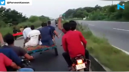 Viral video: Buffalo throws riders off cart, Twitter  says 'karma delivers right on time'