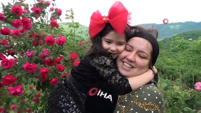 Havaların ısınması ile yeşillenen 'karadeniz ormanları' güzelliğiyle hayran bıraktı