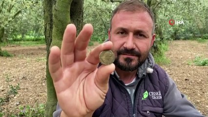 Tarladan 2200 Yıllık Sikke Çıktı