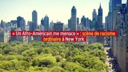 « Un Afro-Américain me menace » : scène de racisme ordinaire à New York