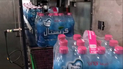 Carry Handle Machine Handlepack-S by CYPACK