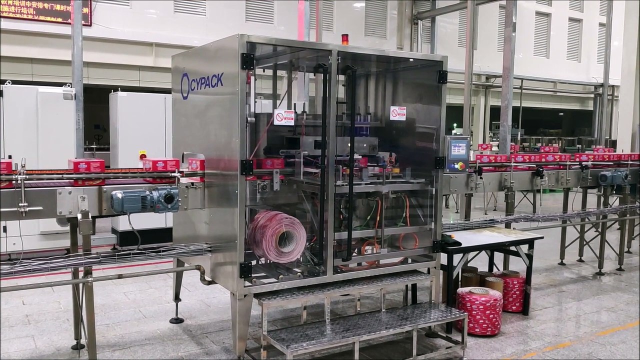 Carry Handle Machine Handlepack-S-Side by CYPACK