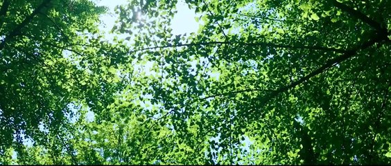 Gửi Thời Thanh Xuân Ngây Thơ Tươi Đẹp tập 13