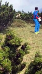 Un enfant de 12 ans échappe à une attaque d’ours en gardant son sang-froid