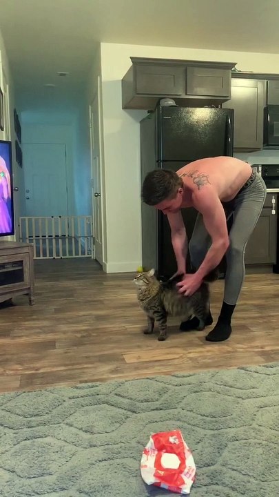 Kitty Demands Firm Pats