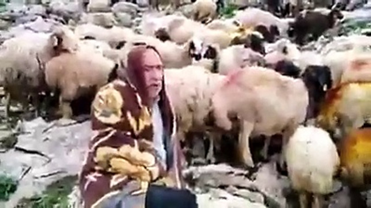 Yörük ana isyan etti: Türk yurdunda Türk aşağılanıyor