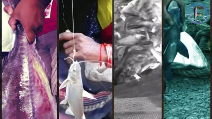 Fishing in a small boat at bay of Bengal