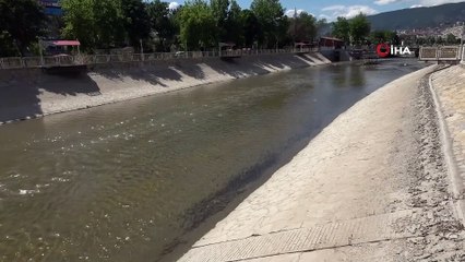 İnsansız doğa balıklara yaradı