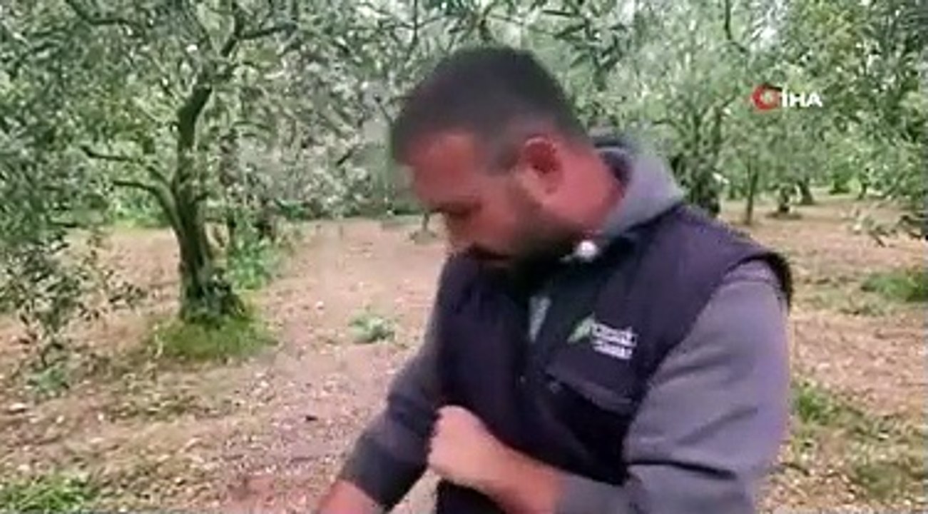 Tarladan 2 bin yıllık servet çıktı!