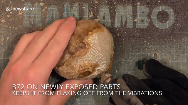 Timelapse exposes eight-million-year-old crab claw fossil enclosed in rock