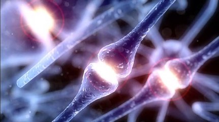 Lundi Sport | Qu'est-ce qu'une commotion cérébrale ?