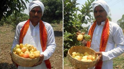 Telangana First Apple || కాశ్మీర్, సిమ్లా యాపిల్ తరహాలో ఇక తెలంగాణా ఆపిల్....!!
