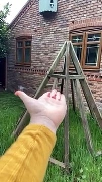 Il nourrit un oiseau sauvage dans sa main, images magnifiques