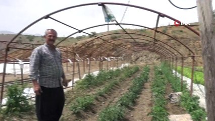 Malatya'da hortum bahçe ve seralara zarar verdi