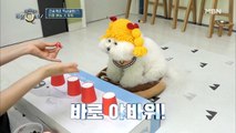 싸늘하다…가슴에 비숑이 날아와 꽂힌다…셀럽견 토토의 야바위 실력은?