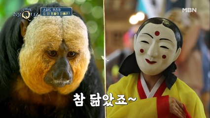 황제성, 부끄러운 오답 작렬… 초성 스피드 퀴즈③