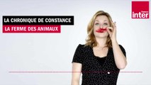 La ferme des animaux - La chronique de Constance