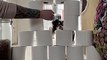 Daisy Jumps Through Toilet Paper Tower