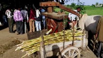 sugarcane juice |  sugarcane machine  | klhu ka bail |  sugarcane juice by  bull  machine
