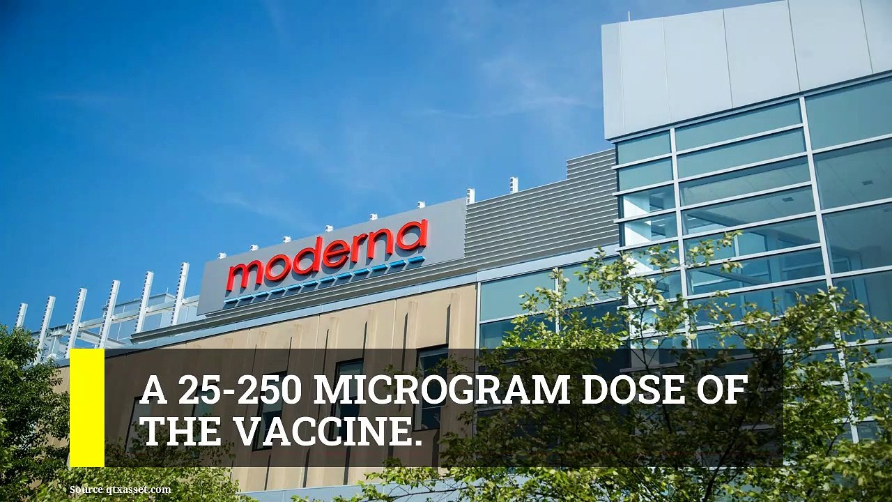 Moderna Covid-19 Vaccine Update: Moderna vaccine for Coronavirus: All you need to know
