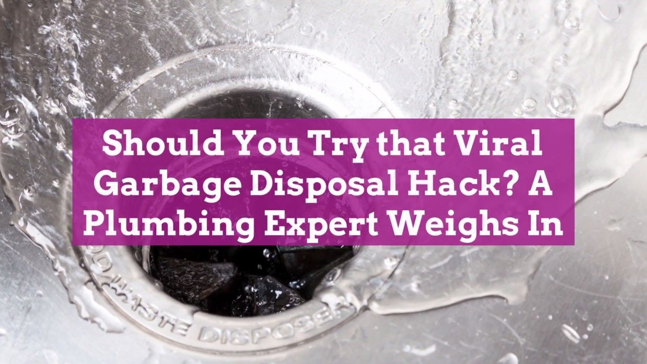 Should You Try that Viral Garbage Disposal Hack? A Plumbing Expert Weighs In