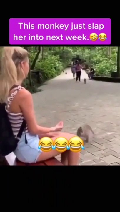 Tiktok Viral Funny videos 2020 -- latest viral tiktok videos -- New trend on tiktok