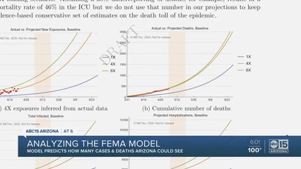 Analyzing the FEMA models for COVID-19