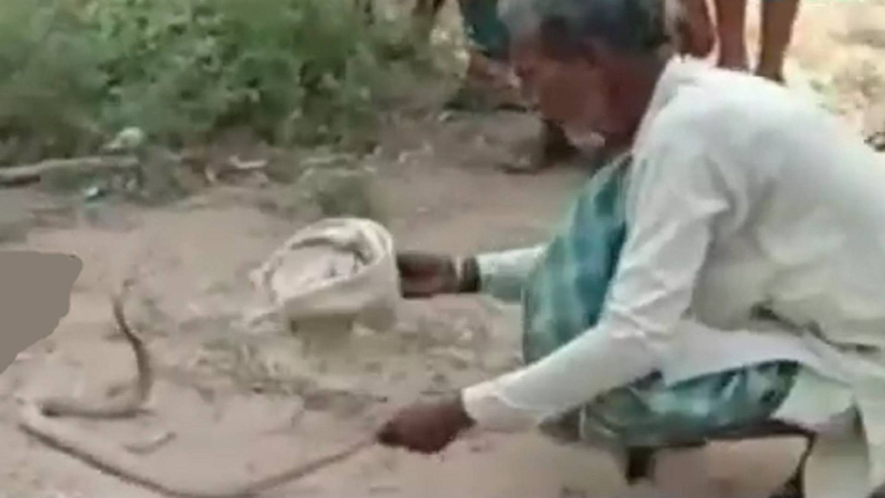 Video: Snakes found at Quarantine Centre in Bihar