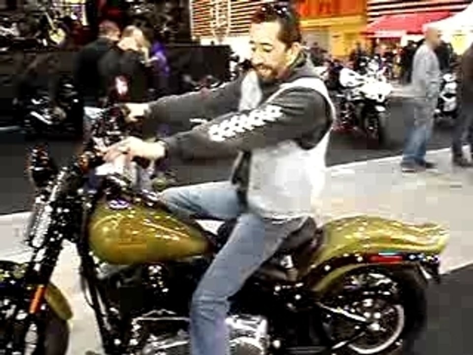 HARLEY CROSS BONES