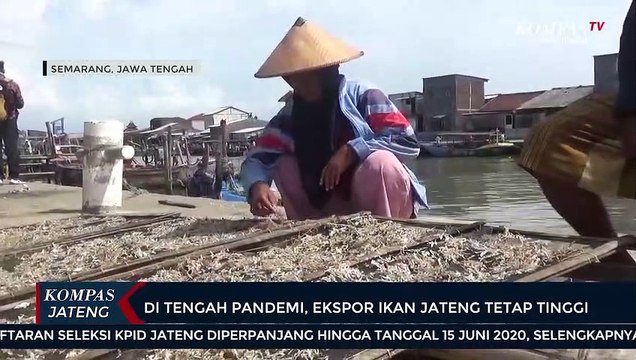 Di Tengah Pandemi Covid-19, Ekspor Ikan Jawa Tengah Tetap Tinggi
