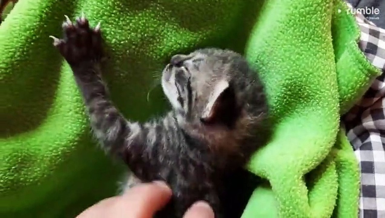 To cute!