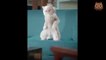 if you laugh you lose :) funny videos of cats and dogs  