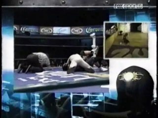 Máscara Dorada vs Felino