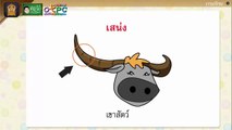 เรียนรู้คำศัพท์เรื่อง ห้องสมุดป่า - สื่อการเรียนการสอน ภาษาไทย ป.4
