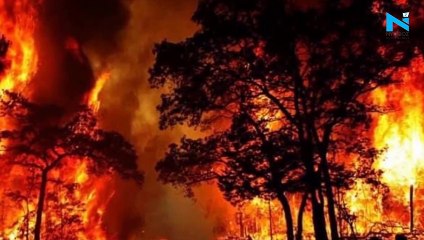 Uttarakhand forest fire enters day 4, over 50 acres of land gutted