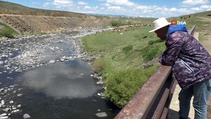 Kars Çayı’nda sular çekildi, balıklar mahsur kaldı