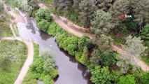 Aydos Ormanı'nın ‘saklı güzelliği' olan göle akan atıklar ve  kirli sular canlıları tehdit ediyor