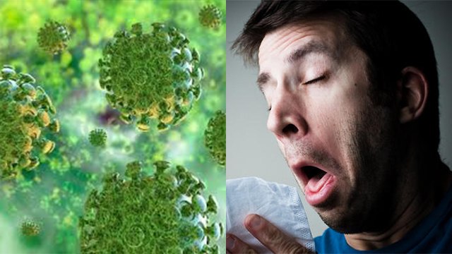 Coronavirus की दूसरी लहर मचा सकती है भारी तबाही, WHO ने दी चेतावनी | Coronavirus Update | Boldsky