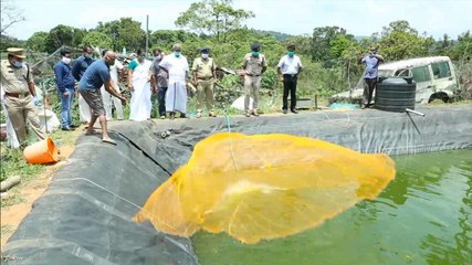 Kerala police station adds fish farm to its flourishing surroundings
