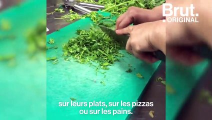Avec des invendus, l'association Ernest cuisine pour les plus démunis