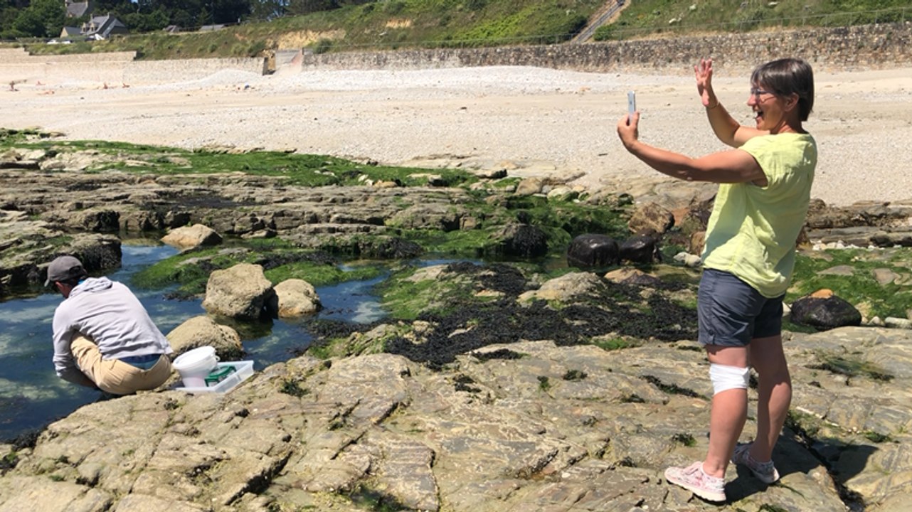 Pêche à pied virtuelle pour les scolaires privés de mer