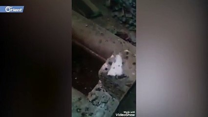 ميليشيا أسد تنبش ضريح الخليفة "عمر بن عبد العزيز" وزوجته شرق إدلب