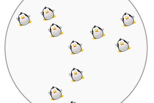 Arriverez-vous à bout de l'énigme des 10 pingouins