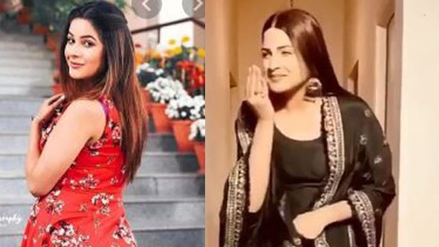 Shehnaz Gill और Himanshi Khurana दिखेंगी साथ साथ, Salman Khan की फिल्म में होगा रोल | FilmiBeat