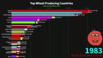 Wheat Producing Countries In The World (1961-2019)