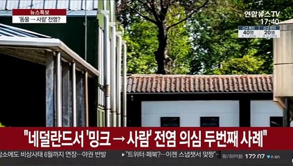 '동물→사람' 전염?…WHO "네덜란드 사례 주시"