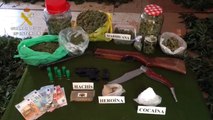 Detenidas 36 personas por cultivo y tráfico de marihuana