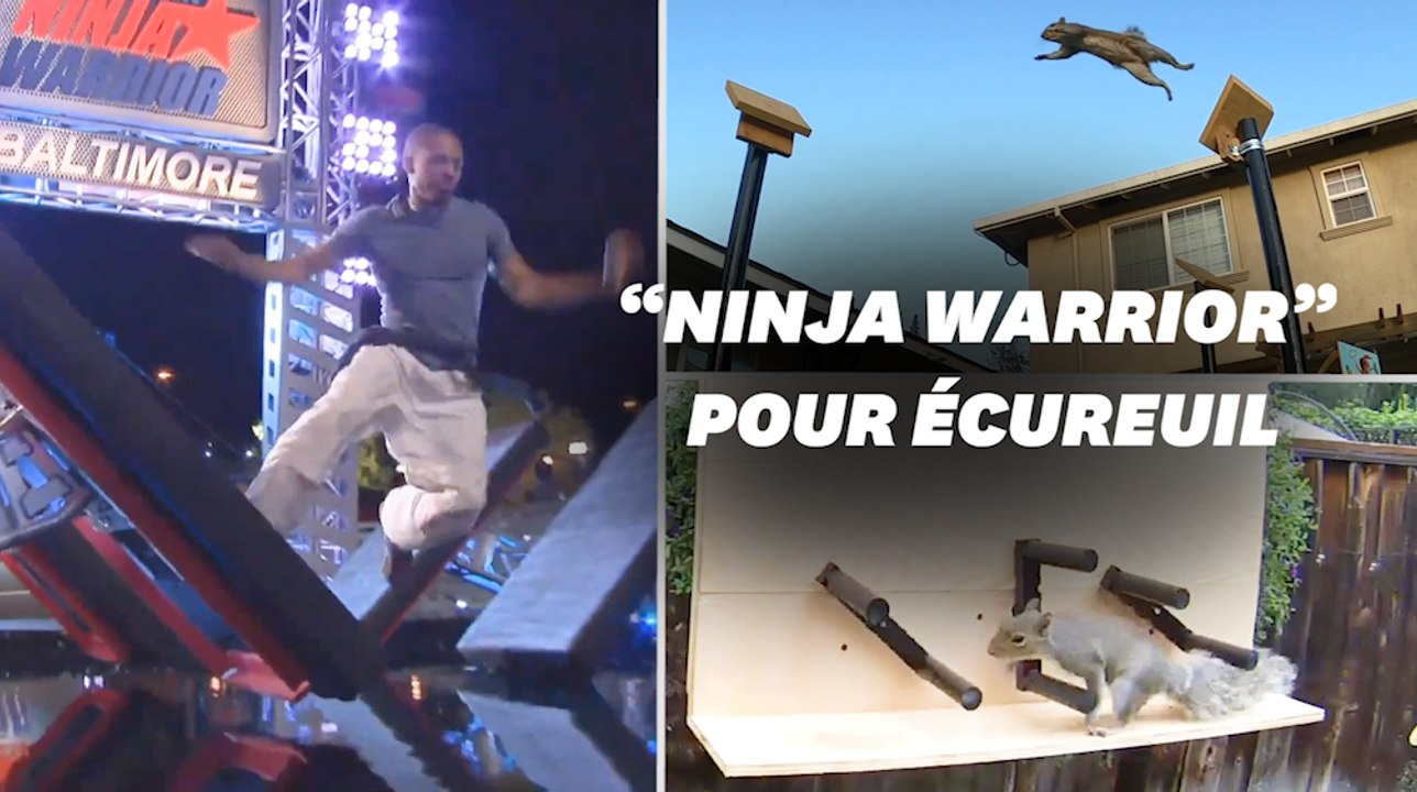 Il construit un parcours digne de "Ninja Warrior" pour les écureuils