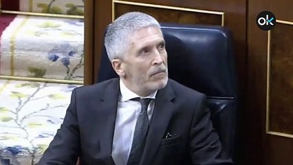 Vox se querella contra la directora de la Guardia Civil y el secretario de Estado de Seguridad