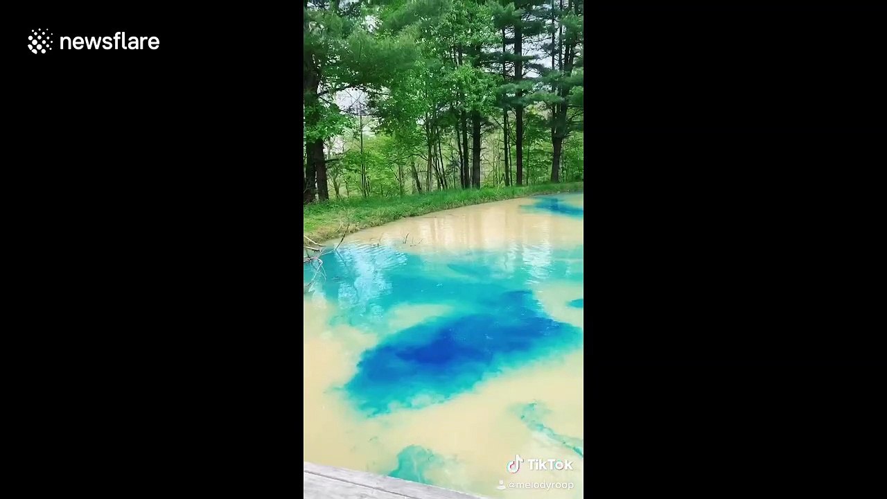 An Ohio family is blowing up on TikTok after dyeing their pond bright blue